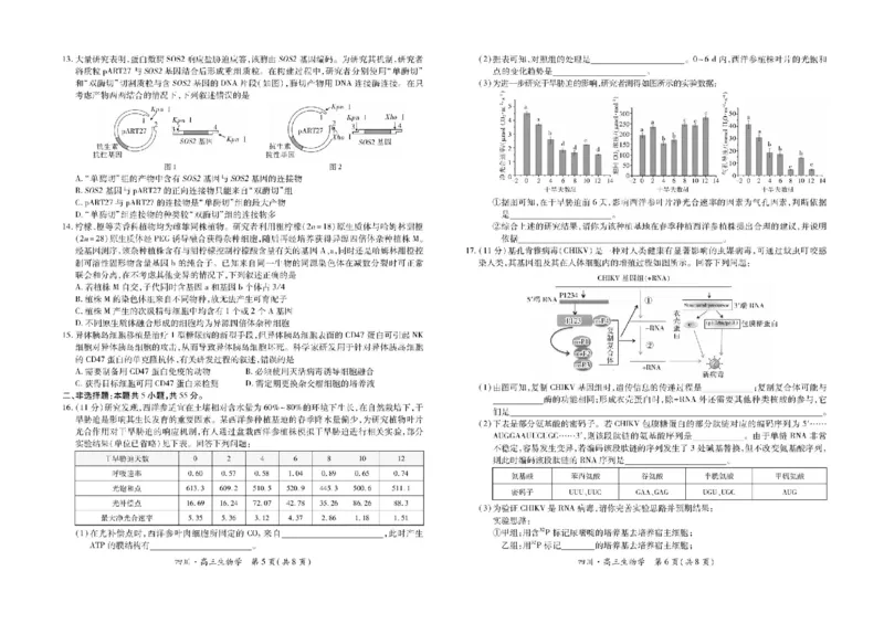 四川省大数据智学领航联盟2026届高三第一次教学质量联合测评生物试题（含答案）_251103四川省大数据智学领航联盟2026届高三第一次教学质量联合测评（全科）