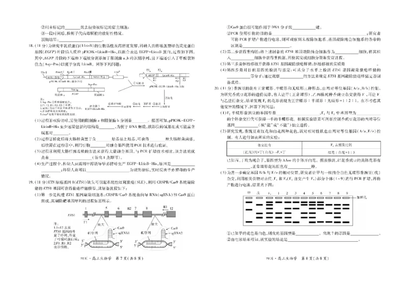 四川省大数据智学领航联盟2026届高三第一次教学质量联合测评生物试题（含答案）_251103四川省大数据智学领航联盟2026届高三第一次教学质量联合测评（全科）