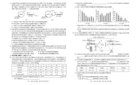四川省大数据智学领航联盟2026届高三第一次教学质量联合测评生物试题（含答案）_251103四川省大数据智学领航联盟2026届高三第一次教学质量联合测评（全科）