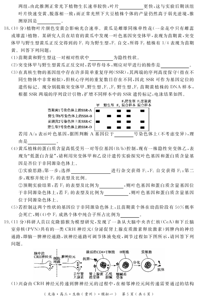 2024届湖北省黄冈八模高三模拟考试（一）生物_2024届湖北省黄冈八模高三模拟考试（一）