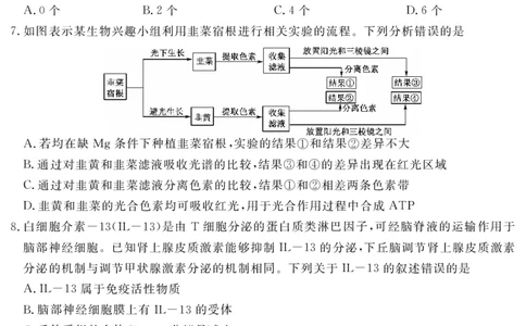 2024届湖北省黄冈八模高三模拟考试（一）生物_2024届湖北省黄冈八模高三模拟考试（一）