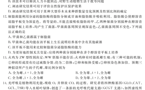 2024届湖北省黄冈八模高三模拟考试（一）生物_2024届湖北省黄冈八模高三模拟考试（一）
