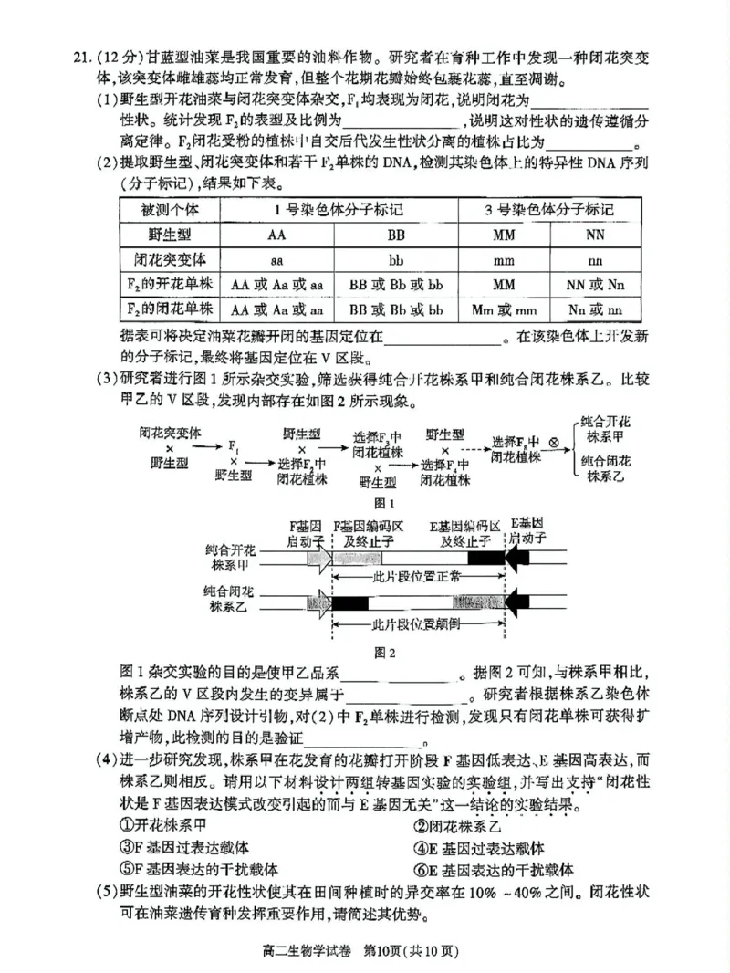 北京市朝阳区2024-2025学年高二下学期期末生物试题_2025年7月_250709北京市朝阳区2024-2025学年高二下学期期末（全科）_北京市朝阳区2024-2025学年高二下学期期末质量检测生物