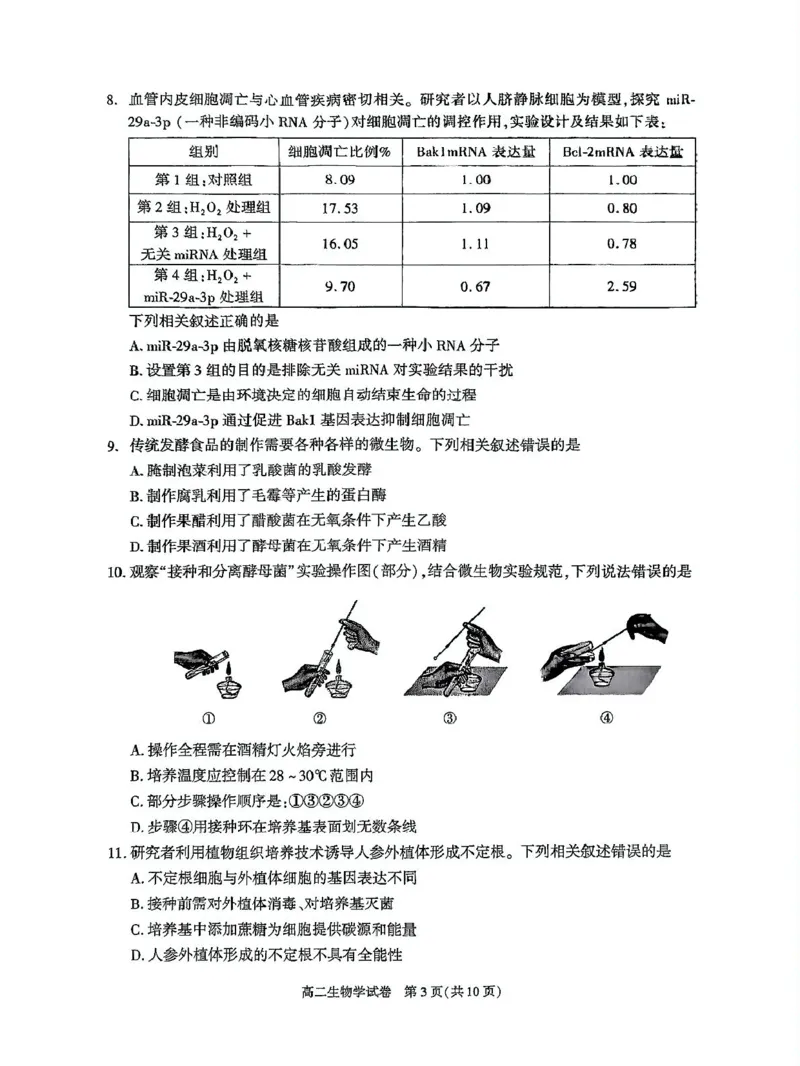 北京市朝阳区2024-2025学年高二下学期期末生物试题_2025年7月_250709北京市朝阳区2024-2025学年高二下学期期末（全科）_北京市朝阳区2024-2025学年高二下学期期末质量检测生物