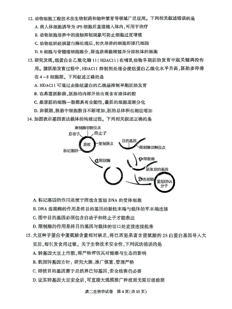 北京市朝阳区2024-2025学年高二下学期期末生物试题_2025年7月_250709北京市朝阳区2024-2025学年高二下学期期末（全科）_北京市朝阳区2024-2025学年高二下学期期末质量检测生物