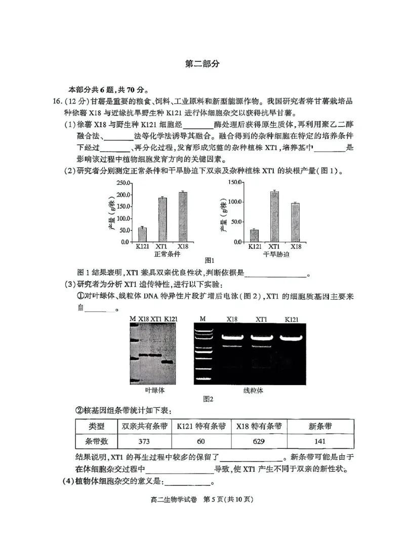 北京市朝阳区2024-2025学年高二下学期期末生物试题_2025年7月_250709北京市朝阳区2024-2025学年高二下学期期末（全科）_北京市朝阳区2024-2025学年高二下学期期末质量检测生物