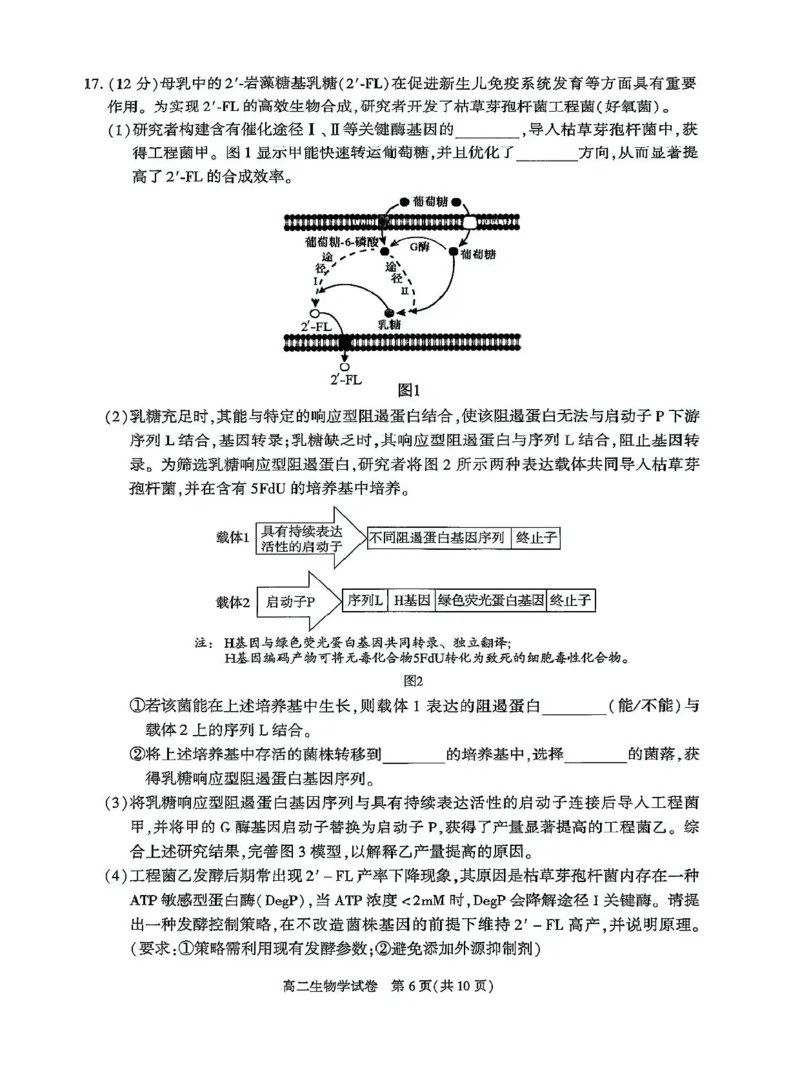 北京市朝阳区2024-2025学年高二下学期期末生物试题_2025年7月_250709北京市朝阳区2024-2025学年高二下学期期末（全科）_北京市朝阳区2024-2025学年高二下学期期末质量检测生物