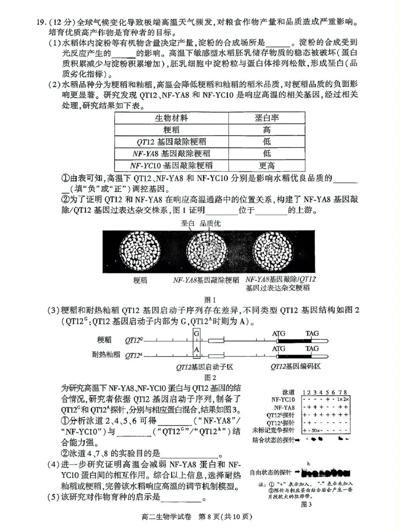 北京市朝阳区2024-2025学年高二下学期期末生物试题_2025年7月_250709北京市朝阳区2024-2025学年高二下学期期末（全科）_北京市朝阳区2024-2025学年高二下学期期末质量检测生物