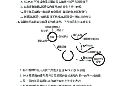 北京市朝阳区2024-2025学年高二下学期期末生物试题_2025年7月_250709北京市朝阳区2024-2025学年高二下学期期末（全科）_北京市朝阳区2024-2025学年高二下学期期末质量检测生物