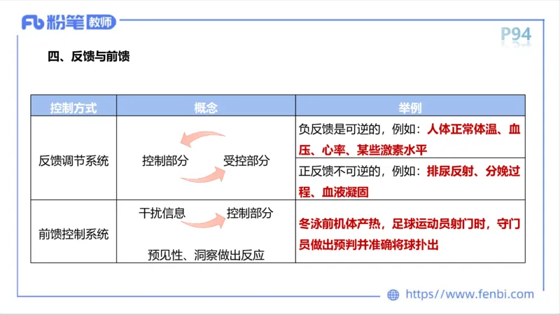 理论精讲-运动生理学1_4-教培资料-26年最新资料-同步更新_科一科二电子资料合集中小幼（笔记真题知识点汇总等）文件多，按需保存_各机构笔记合集（中小幼）推荐_1理论精讲