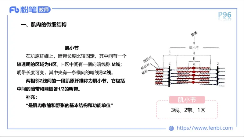 理论精讲-运动生理学1_4-教培资料-26年最新资料-同步更新_科一科二电子资料合集中小幼（笔记真题知识点汇总等）文件多，按需保存_各机构笔记合集（中小幼）推荐_1理论精讲