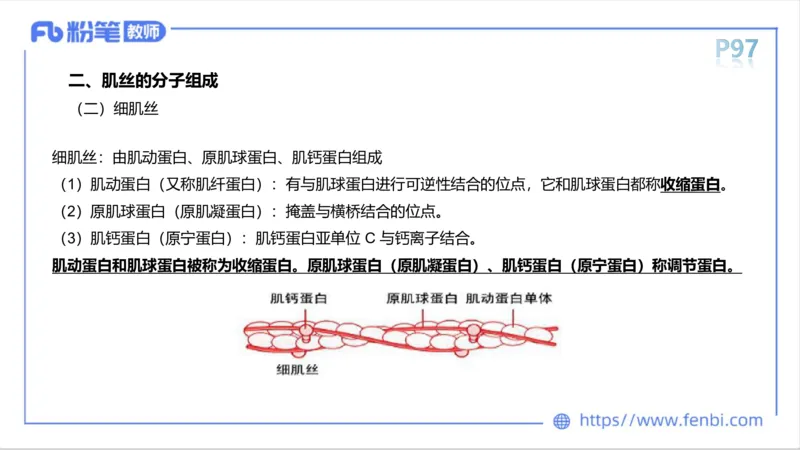 理论精讲-运动生理学1_4-教培资料-26年最新资料-同步更新_科一科二电子资料合集中小幼（笔记真题知识点汇总等）文件多，按需保存_各机构笔记合集（中小幼）推荐_1理论精讲