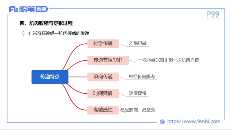 理论精讲-运动生理学1_4-教培资料-26年最新资料-同步更新_科一科二电子资料合集中小幼（笔记真题知识点汇总等）文件多，按需保存_各机构笔记合集（中小幼）推荐_1理论精讲
