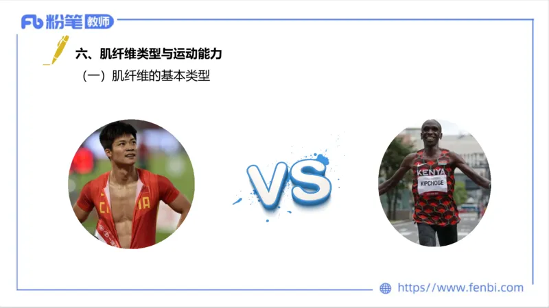理论精讲-运动生理学1_4-教培资料-26年最新资料-同步更新_科一科二电子资料合集中小幼（笔记真题知识点汇总等）文件多，按需保存_各机构笔记合集（中小幼）推荐_1理论精讲