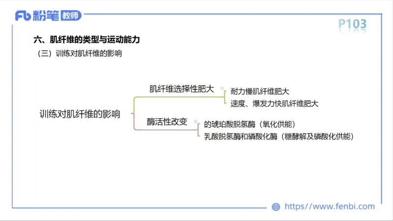理论精讲-运动生理学1_4-教培资料-26年最新资料-同步更新_科一科二电子资料合集中小幼（笔记真题知识点汇总等）文件多，按需保存_各机构笔记合集（中小幼）推荐_1理论精讲