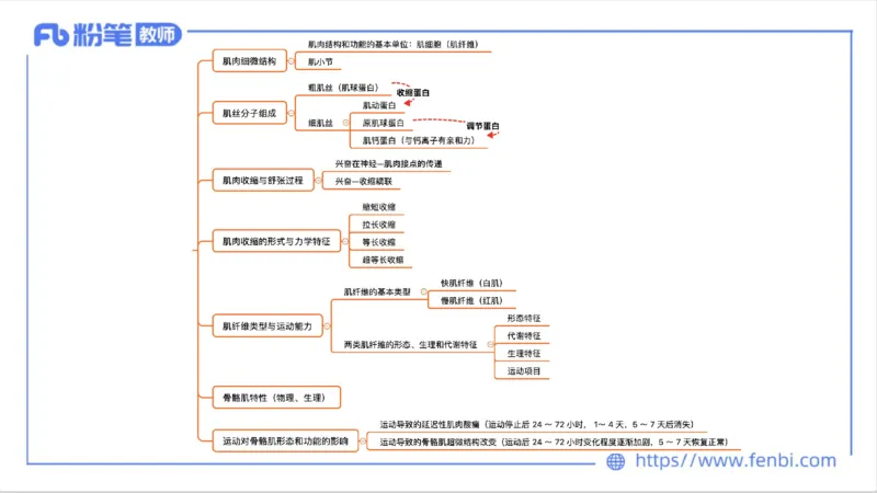理论精讲-运动生理学1_4-教培资料-26年最新资料-同步更新_科一科二电子资料合集中小幼（笔记真题知识点汇总等）文件多，按需保存_各机构笔记合集（中小幼）推荐_1理论精讲