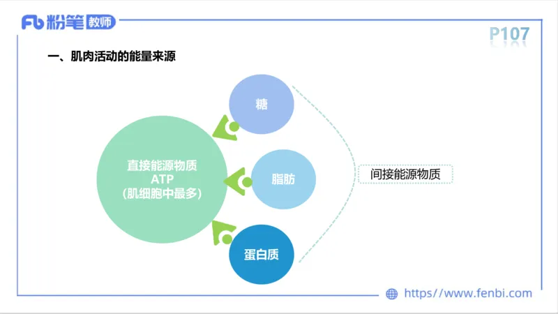 理论精讲-运动生理学1_4-教培资料-26年最新资料-同步更新_科一科二电子资料合集中小幼（笔记真题知识点汇总等）文件多，按需保存_各机构笔记合集（中小幼）推荐_1理论精讲