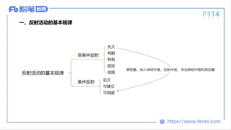理论精讲-运动生理学1_4-教培资料-26年最新资料-同步更新_科一科二电子资料合集中小幼（笔记真题知识点汇总等）文件多，按需保存_各机构笔记合集（中小幼）推荐_1理论精讲