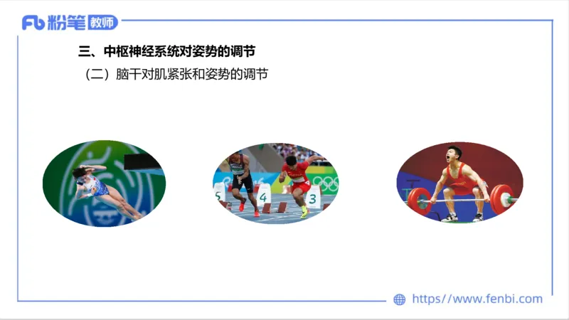 理论精讲-运动生理学1_4-教培资料-26年最新资料-同步更新_科一科二电子资料合集中小幼（笔记真题知识点汇总等）文件多，按需保存_各机构笔记合集（中小幼）推荐_1理论精讲