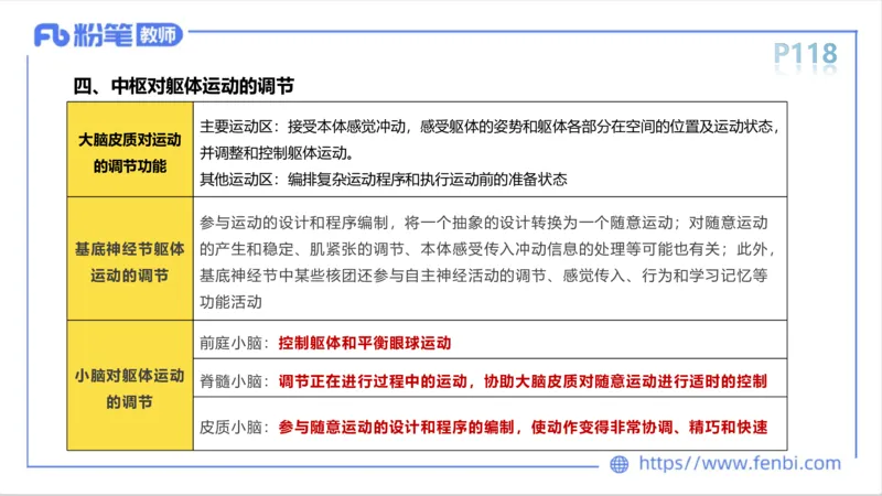 理论精讲-运动生理学1_4-教培资料-26年最新资料-同步更新_科一科二电子资料合集中小幼（笔记真题知识点汇总等）文件多，按需保存_各机构笔记合集（中小幼）推荐_1理论精讲