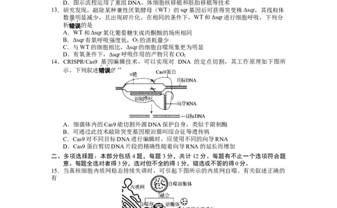 江苏省无锡市2024-2025学年高二下学期6月期末生物试卷_2025年7月_250706江苏省无锡市普通高中2024-2025学年高二下学期期终调研考试（全科）