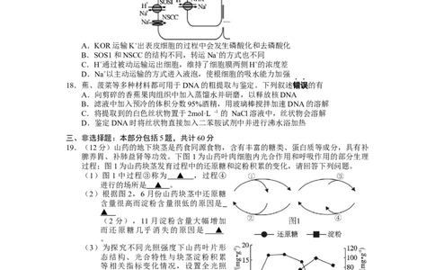江苏省无锡市2024-2025学年高二下学期6月期末生物试卷_2025年7月_250706江苏省无锡市普通高中2024-2025学年高二下学期期终调研考试（全科）