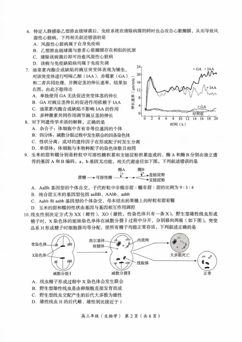 北京市海淀区2025-2026学年高三上学期期中生物试题_251107北京市海淀区2025-2026学年高三上学期期中（全科）_北京市海淀区2025-2026学年高三上学期期中考试生物试题（含答案）