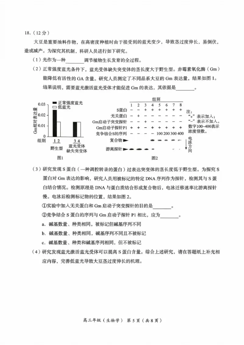 北京市海淀区2025-2026学年高三上学期期中生物试题_251107北京市海淀区2025-2026学年高三上学期期中（全科）_北京市海淀区2025-2026学年高三上学期期中考试生物试题（含答案）
