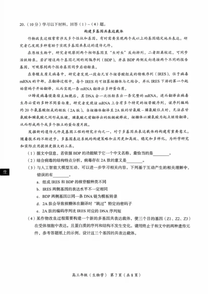 北京市海淀区2025-2026学年高三上学期期中生物试题_251107北京市海淀区2025-2026学年高三上学期期中（全科）_北京市海淀区2025-2026学年高三上学期期中考试生物试题（含答案）