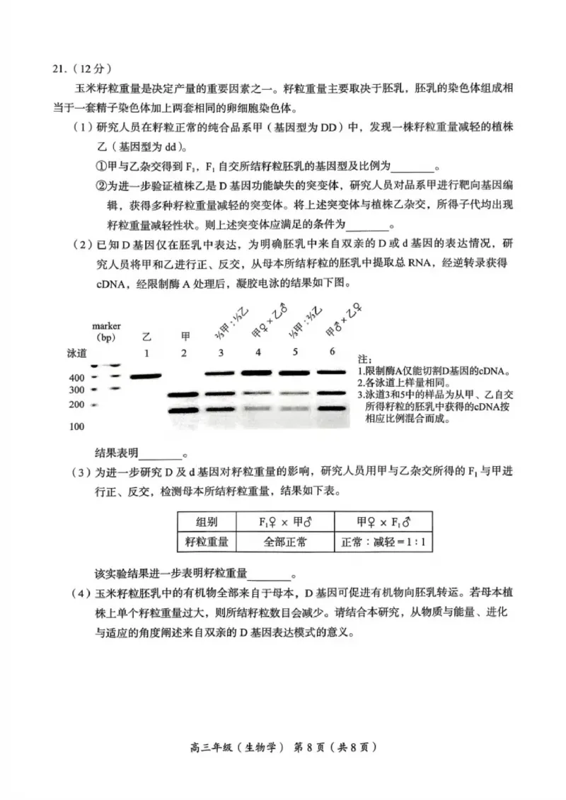 北京市海淀区2025-2026学年高三上学期期中生物试题_251107北京市海淀区2025-2026学年高三上学期期中（全科）_北京市海淀区2025-2026学年高三上学期期中考试生物试题（含答案）
