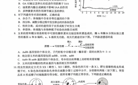 北京市海淀区2025-2026学年高三上学期期中生物试题_251107北京市海淀区2025-2026学年高三上学期期中（全科）_北京市海淀区2025-2026学年高三上学期期中考试生物试题（含答案）