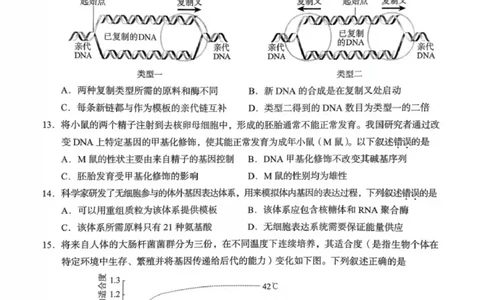 北京市海淀区2025-2026学年高三上学期期中生物试题_251107北京市海淀区2025-2026学年高三上学期期中（全科）_北京市海淀区2025-2026学年高三上学期期中考试生物试题（含答案）