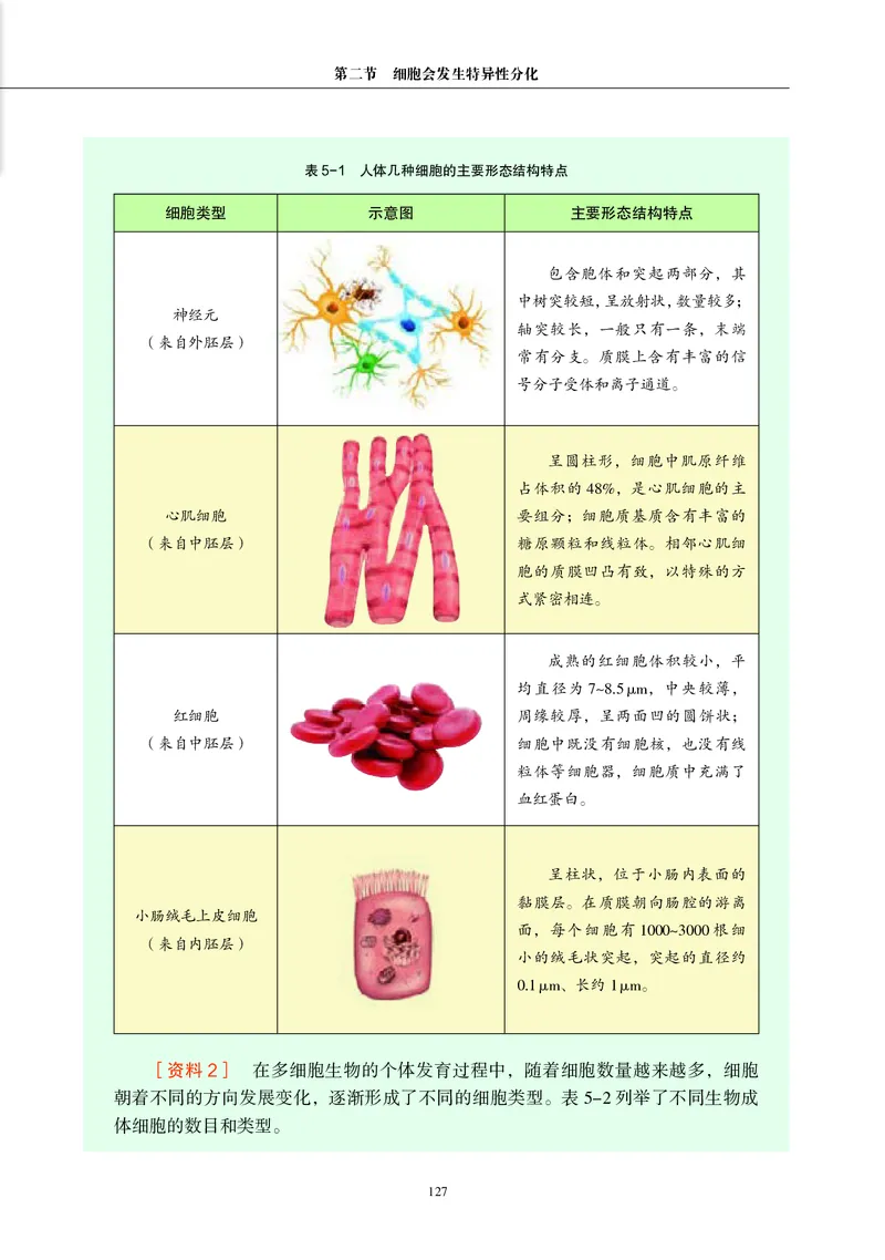 沪科教生物必修1高清教材_4-教培资料-26年最新资料-同步更新_初中高中教资_03科三专项（进去保存报考的学科即可）_02科三专项（笔记真题思维导图教学设计版本二）