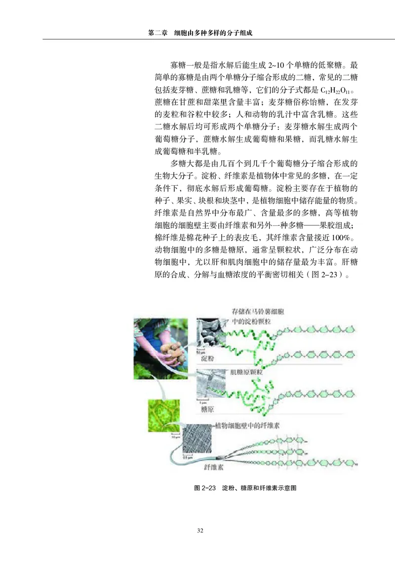 沪科教生物必修1高清教材_4-教培资料-26年最新资料-同步更新_初中高中教资_03科三专项（进去保存报考的学科即可）_02科三专项（笔记真题思维导图教学设计版本二）