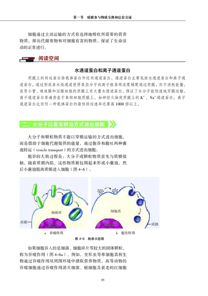 沪科教生物必修1高清教材_4-教培资料-26年最新资料-同步更新_初中高中教资_03科三专项（进去保存报考的学科即可）_02科三专项（笔记真题思维导图教学设计版本二）
