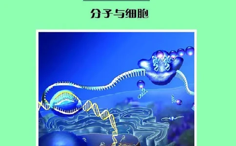 沪科教生物必修1高清教材_4-教培资料-26年最新资料-同步更新_初中高中教资_03科三专项（进去保存报考的学科即可）_02科三专项（笔记真题思维导图教学设计版本二）