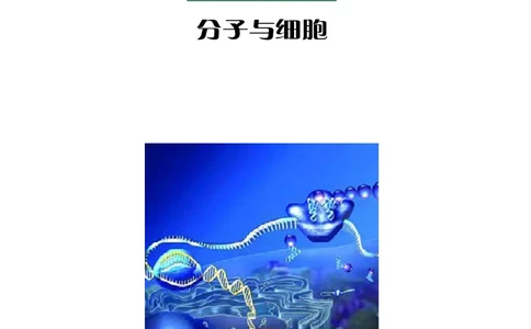 沪科教生物必修1高清教材_4-教培资料-26年最新资料-同步更新_初中高中教资_03科三专项（进去保存报考的学科即可）_02科三专项（笔记真题思维导图教学设计版本二）