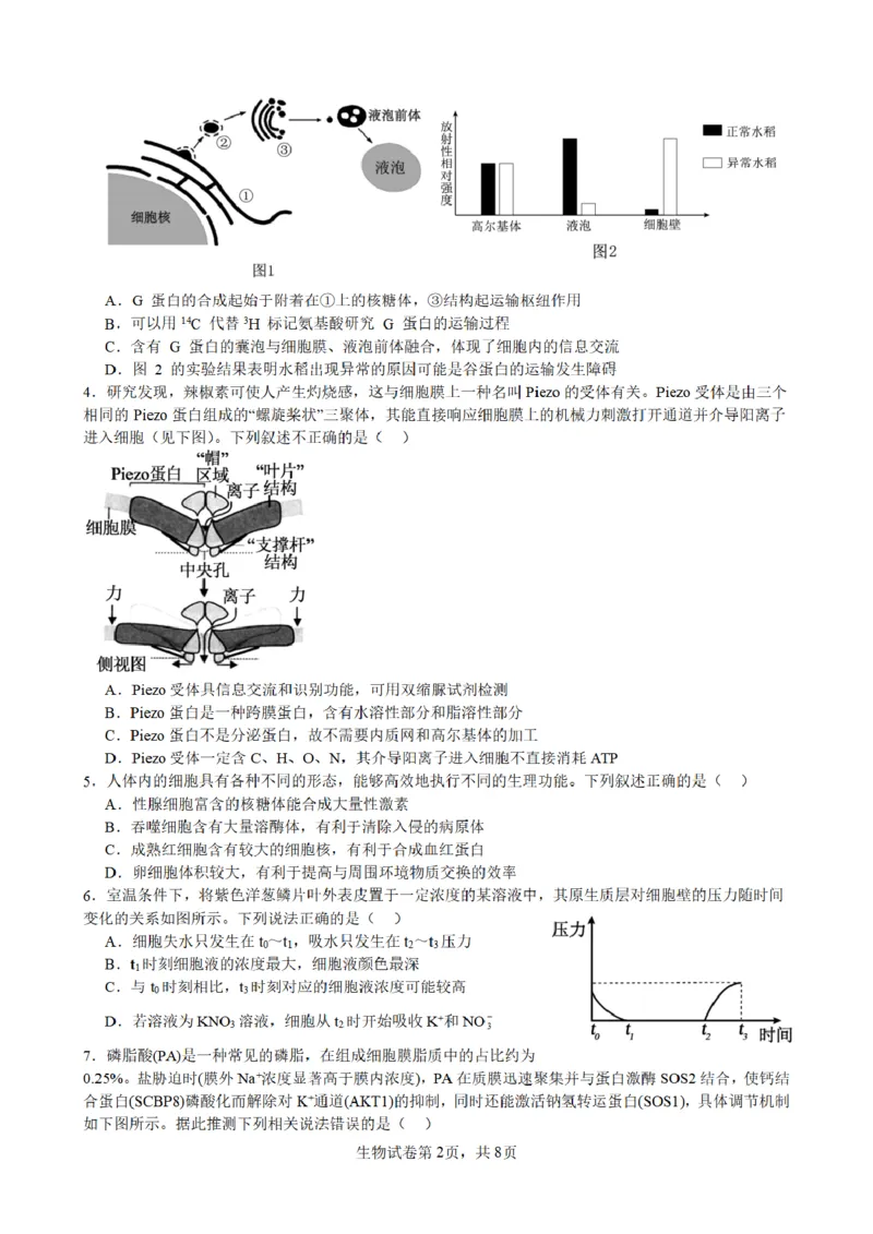 合肥市普通高中六校联盟2025年秋季学期期中考试生物_251115安徽省合肥市普通高中六校联盟2025年秋季学期期中考试（全科）