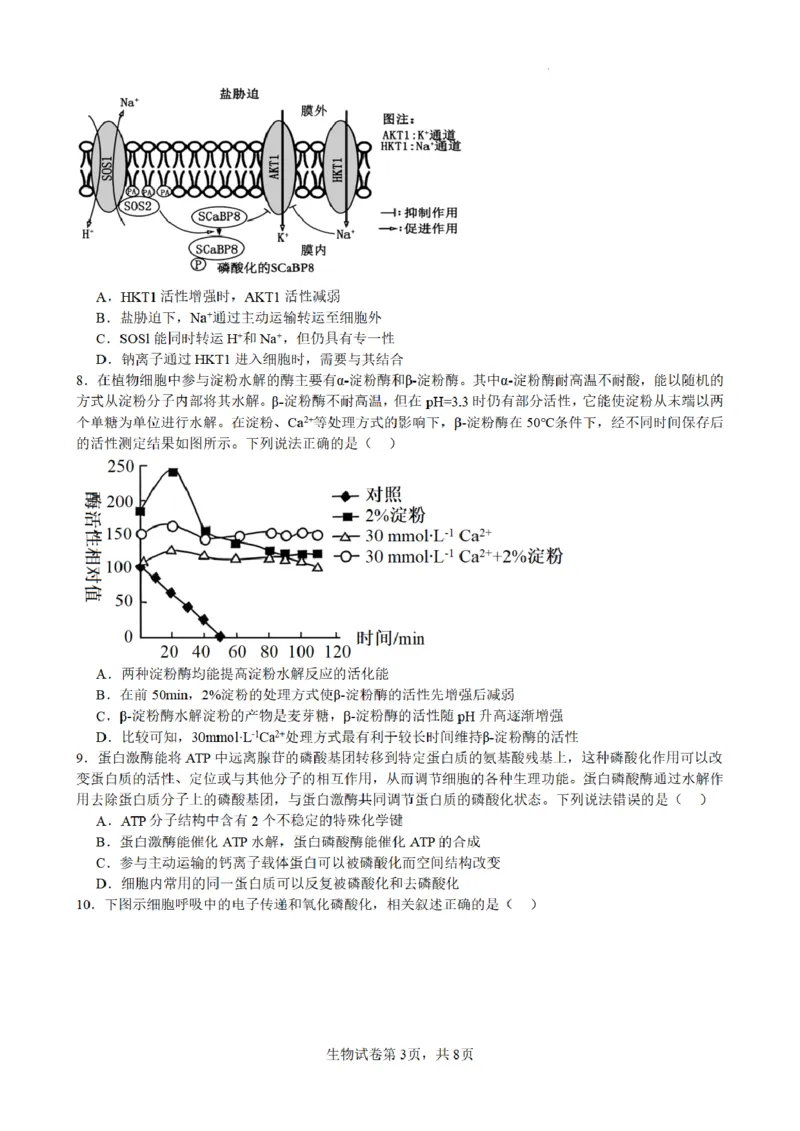 合肥市普通高中六校联盟2025年秋季学期期中考试生物_251115安徽省合肥市普通高中六校联盟2025年秋季学期期中考试（全科）