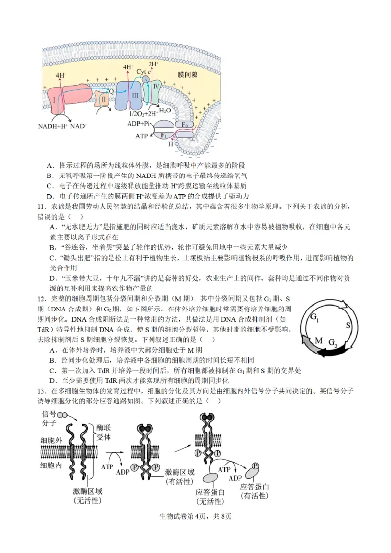 合肥市普通高中六校联盟2025年秋季学期期中考试生物_251115安徽省合肥市普通高中六校联盟2025年秋季学期期中考试（全科）