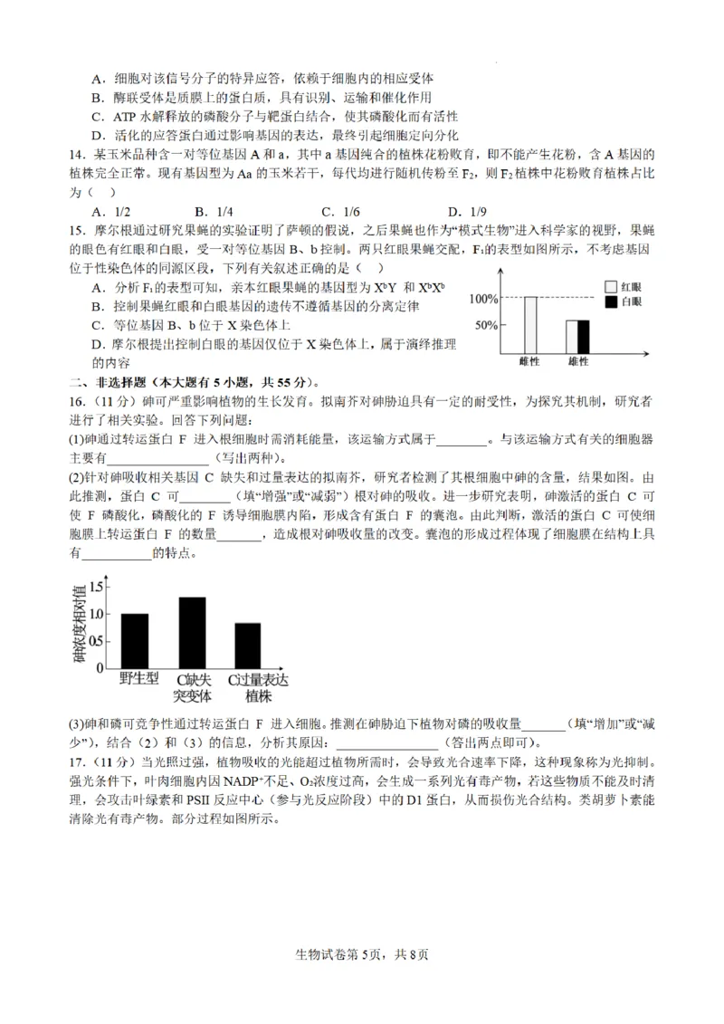 合肥市普通高中六校联盟2025年秋季学期期中考试生物_251115安徽省合肥市普通高中六校联盟2025年秋季学期期中考试（全科）