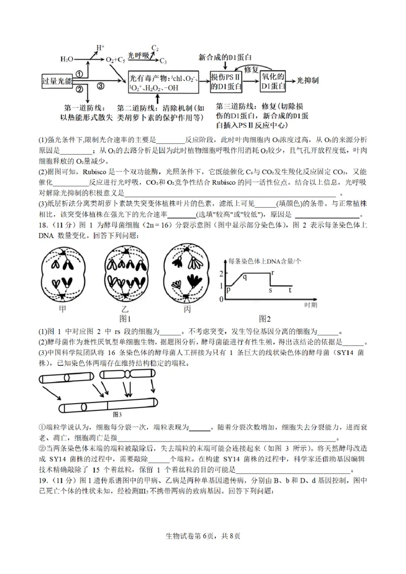合肥市普通高中六校联盟2025年秋季学期期中考试生物_251115安徽省合肥市普通高中六校联盟2025年秋季学期期中考试（全科）
