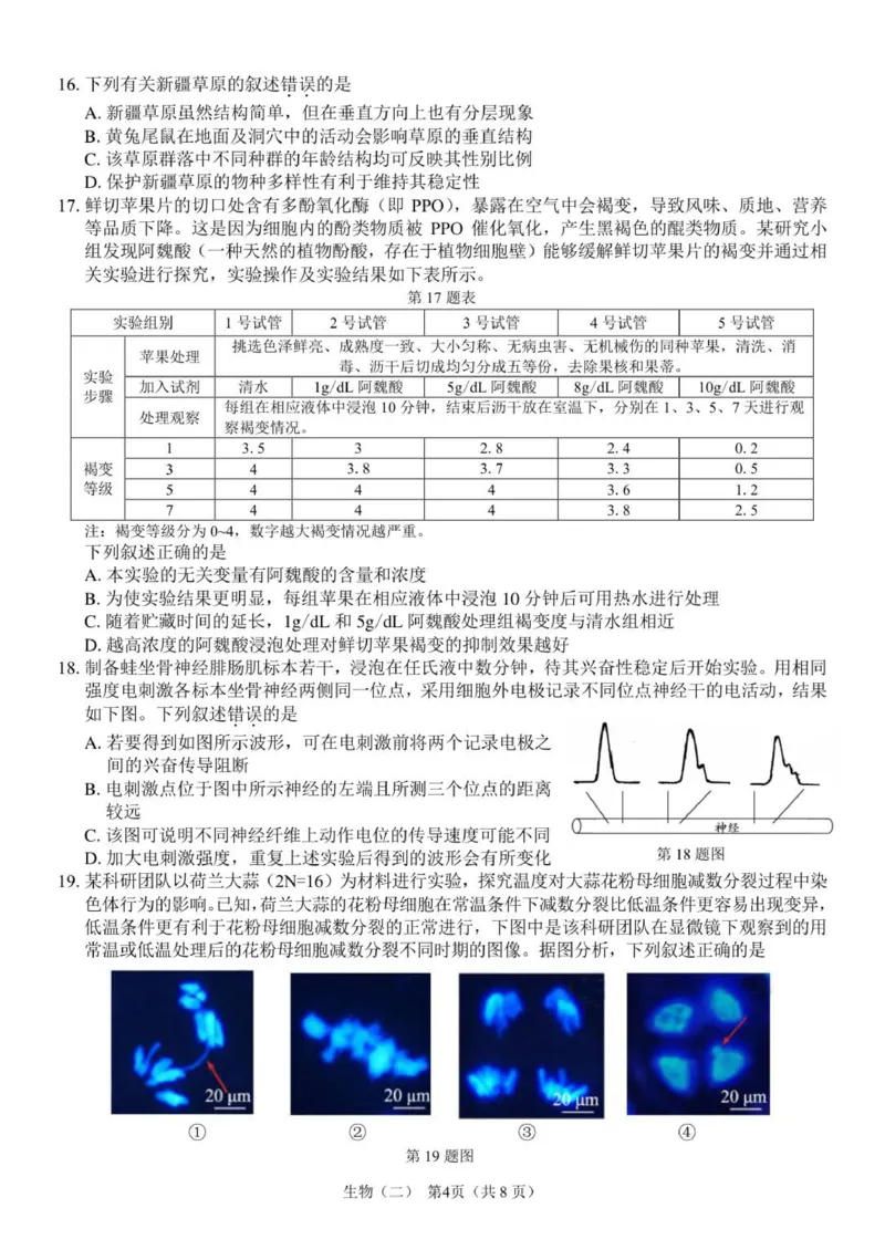 广东省广州市六校联考2025-2026学年高三上学期期中调研考试生物试卷_2025年12月_251202广东省广州市六校联考2025-2026学年高三上学期期中调研考试