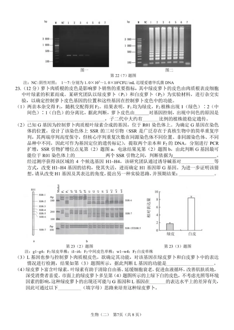 广东省广州市六校联考2025-2026学年高三上学期期中调研考试生物试卷_2025年12月_251202广东省广州市六校联考2025-2026学年高三上学期期中调研考试