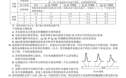 广东省广州市六校联考2025-2026学年高三上学期期中调研考试生物试卷_2025年12月_251202广东省广州市六校联考2025-2026学年高三上学期期中调研考试