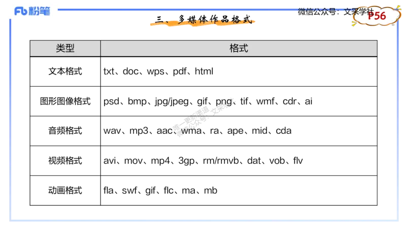 理论精讲05-多媒体技术1&middot;孙珍珍_4-教培资料-26年最新资料-同步更新_初中高中教资_03科三专项（进去保存报考的学科即可）_01科目三FB网课、三色速记手册、知识点导图等推荐