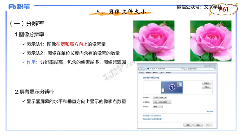理论精讲05-多媒体技术1&middot;孙珍珍_4-教培资料-26年最新资料-同步更新_初中高中教资_03科三专项（进去保存报考的学科即可）_01科目三FB网课、三色速记手册、知识点导图等推荐
