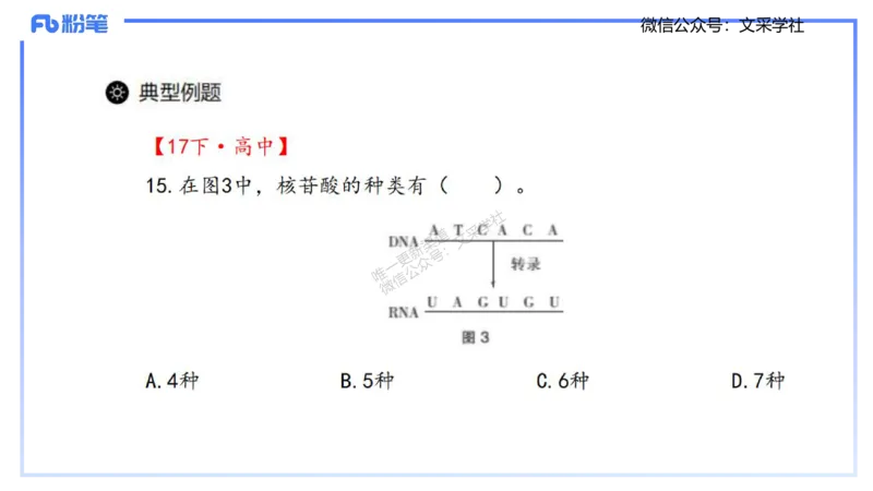 理论精讲02-分子生物学2-拾光_4-教培资料-26年最新资料-同步更新_初中高中教资_03科三专项（进去保存报考的学科即可）_01科目三FB网课、三色速记手册、知识点导图等推荐_初中