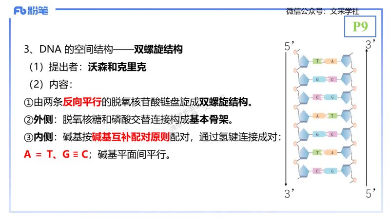 理论精讲02-分子生物学2-拾光_4-教培资料-26年最新资料-同步更新_初中高中教资_03科三专项（进去保存报考的学科即可）_01科目三FB网课、三色速记手册、知识点导图等推荐_初中