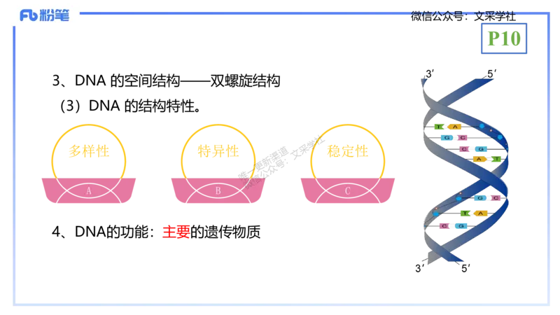 理论精讲02-分子生物学2-拾光_4-教培资料-26年最新资料-同步更新_初中高中教资_03科三专项（进去保存报考的学科即可）_01科目三FB网课、三色速记手册、知识点导图等推荐_初中